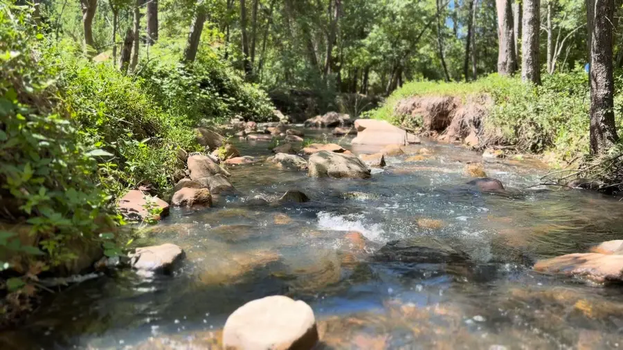415 E Rim Estates Trail, Payson, AZ 85541 - #3