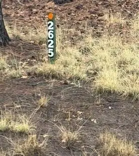 2625 Roundup Lane, Happy Jack, AZ 86024 - #1