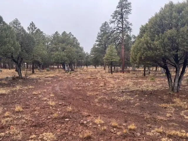 2625 Roundup Lane, Happy Jack, AZ 86024 - #2