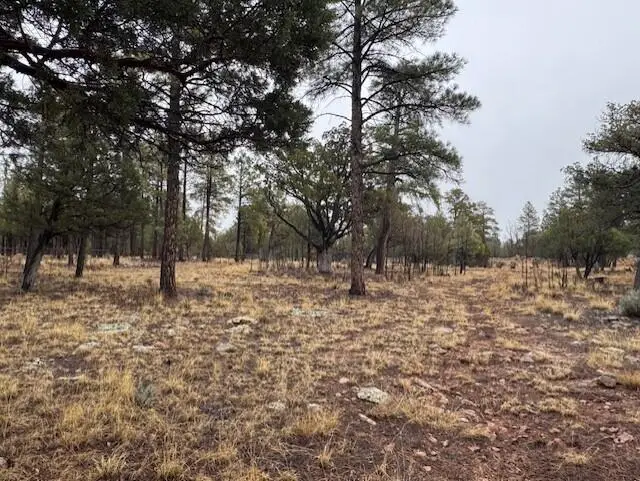 2625 Roundup Lane, Happy Jack, AZ 86024 - #3