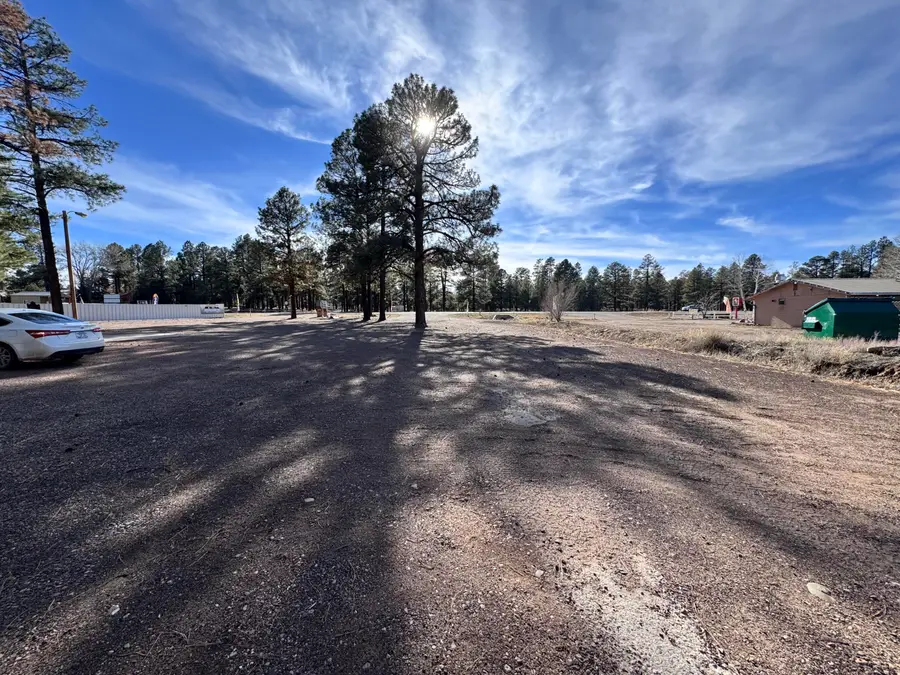 2765 State Route 260, Overgaard, AZ 85933 - #2