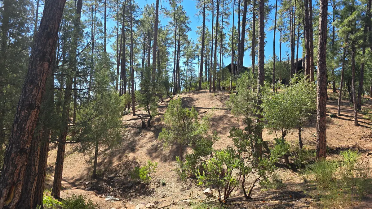 401 N Grapevine Drive, Payson, AZ 85541 - #1