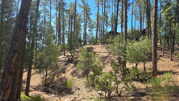 401 N Grapevine Drive, Payson, AZ 85541