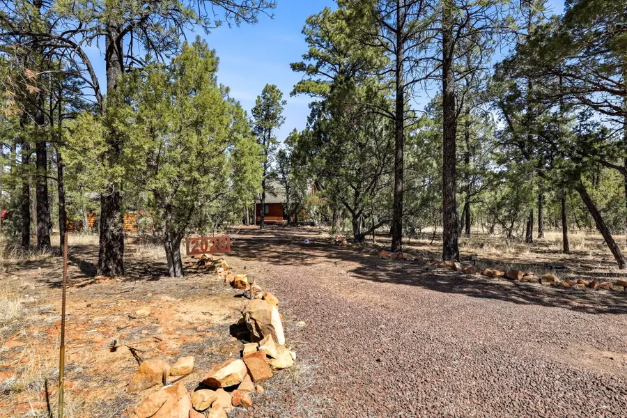 2028 Jones Pass, Overgaard, AZ 85933 - #3