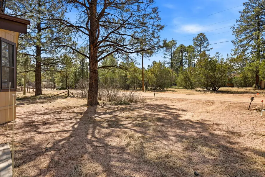 2877 Lazy Bear Trail, Overgaard, AZ 85933 - #3