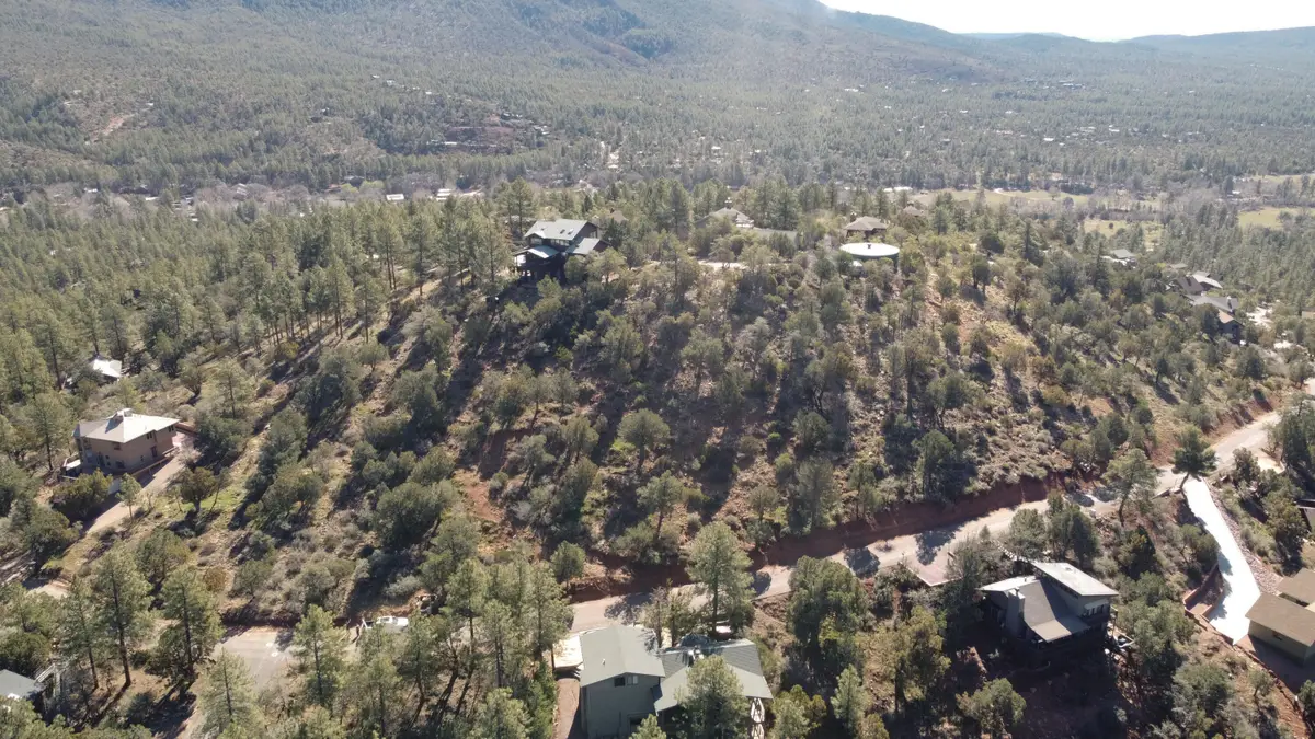 165 N Portal Drive, Pine, AZ 85544 - #1