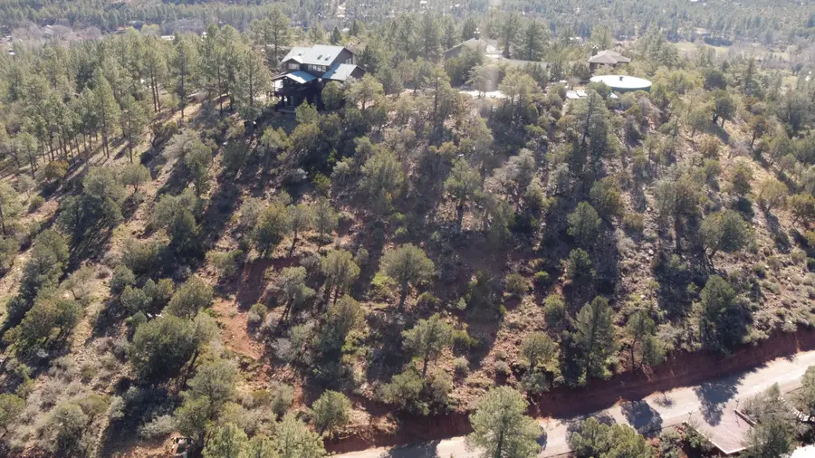 165 N Portal Drive, Pine, AZ 85544 - #3