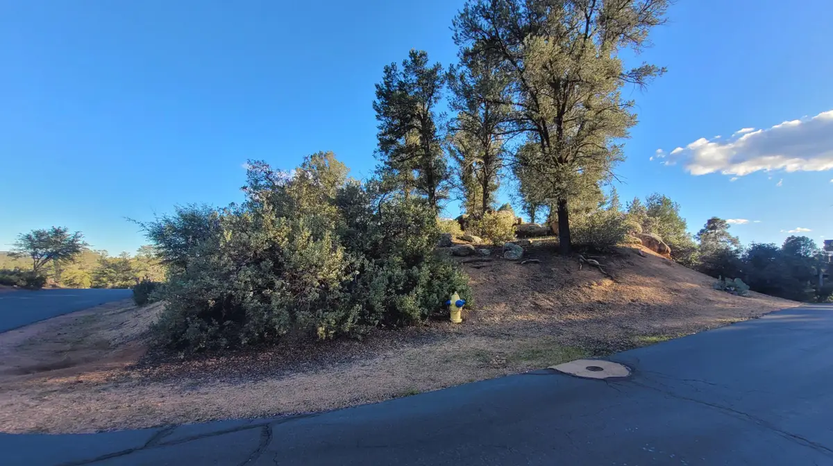 105 N Feather Plume Circle, Payson, AZ 85541 - #1