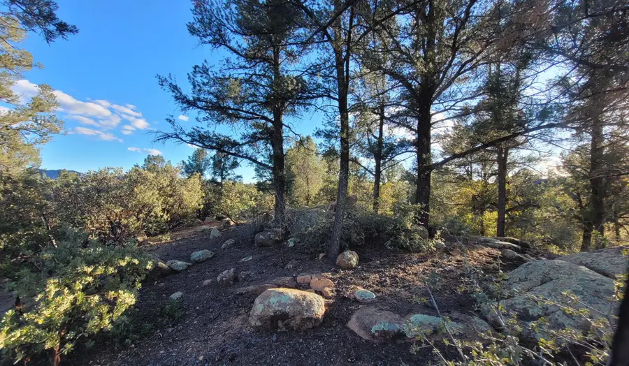 105 N Feather Plume Circle, Payson, AZ 85541 - #2