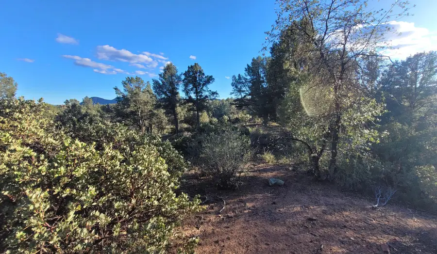 105 N Feather Plume Circle, Payson, AZ 85541 - #3