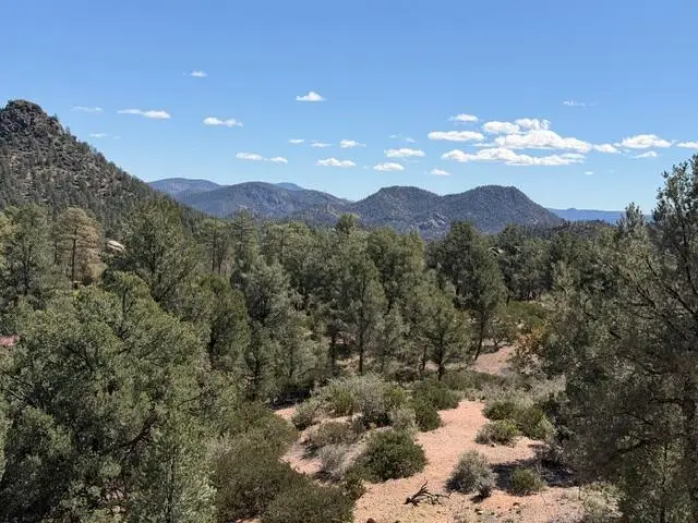 704 S Shady Glade, Payson, AZ 85541 - #3