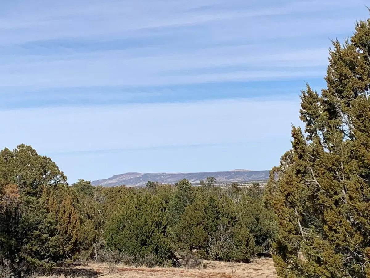7310 Red Feather Court, Happy Jack, AZ 86024 - #1