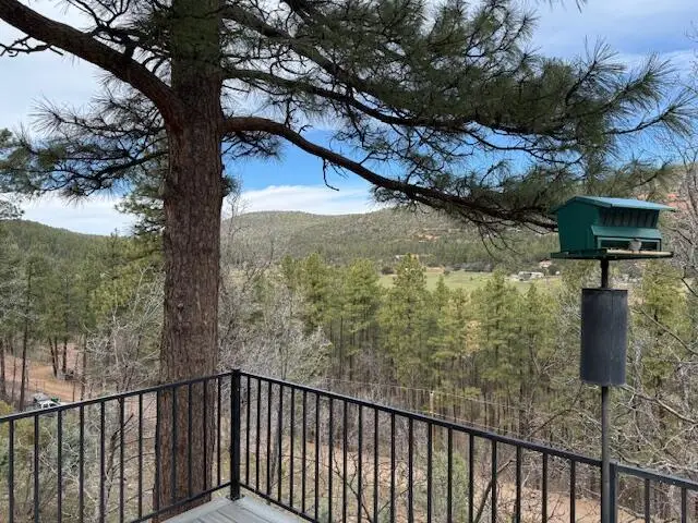 9773 W Juniper Road, Strawberry, AZ 85544 - #1