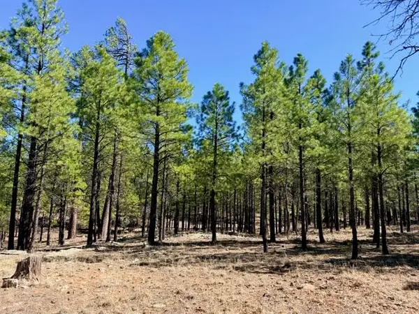 1947 Pine Canyon Drive, Happy Jack, AZ 86024