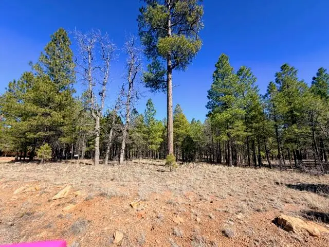 1865 Pine Canyon Drive, Happy Jack, AZ 86024 - #2