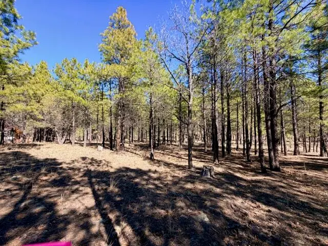 1865 Pine Canyon Drive, Happy Jack, AZ 86024 - #3