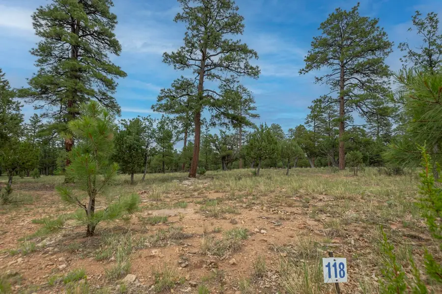 2961 Eagle Ridge Circle, Happy Jack, AZ 86024 - #2