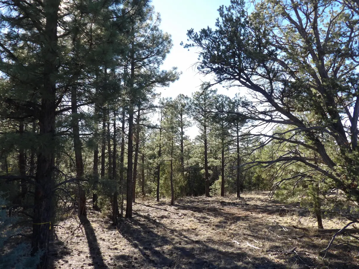 5365 Twin Oaks Loop, Happy Jack, AZ 86024 - #1