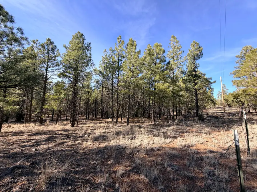 2397 Wigeon Way, Happy Jack, AZ 86024 - #2