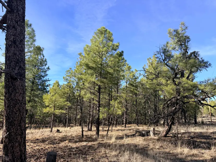 2397 Wigeon Way, Happy Jack, AZ 86024 - #3