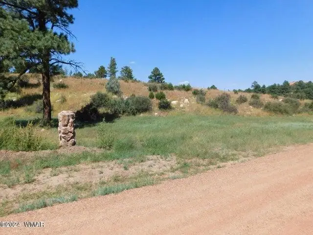 2806-2808 Pine Hill Drive, Overgaard, AZ 85933 - #1