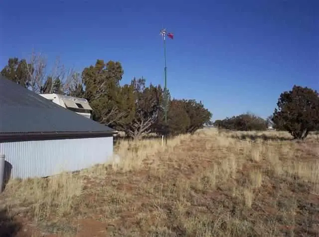1131 Southwell Az Road, Heber, AZ 85928 - #3