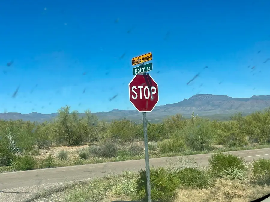 8 Palm Street, Roosevelt, AZ 85545 - #3