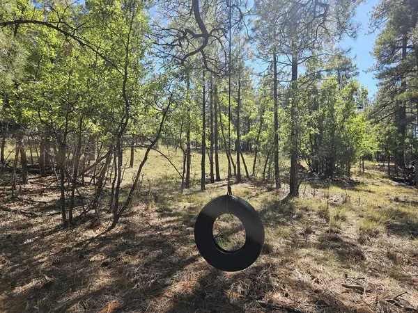 2563 Pine Valley Road, Happy Jack, AZ 86024