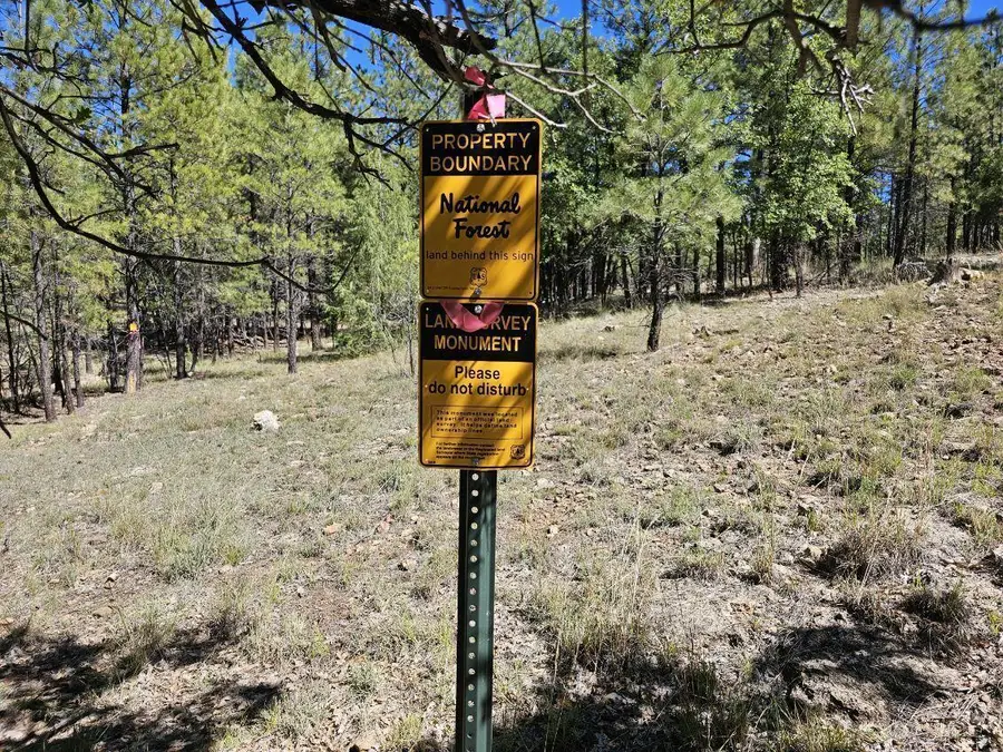 2563 Pine Valley Road, Happy Jack, AZ 86024 - #2