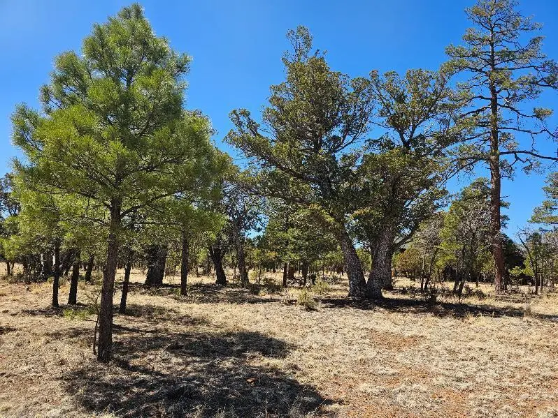 4173 Durango Drive, Happy Jack, AZ 86024 - #1