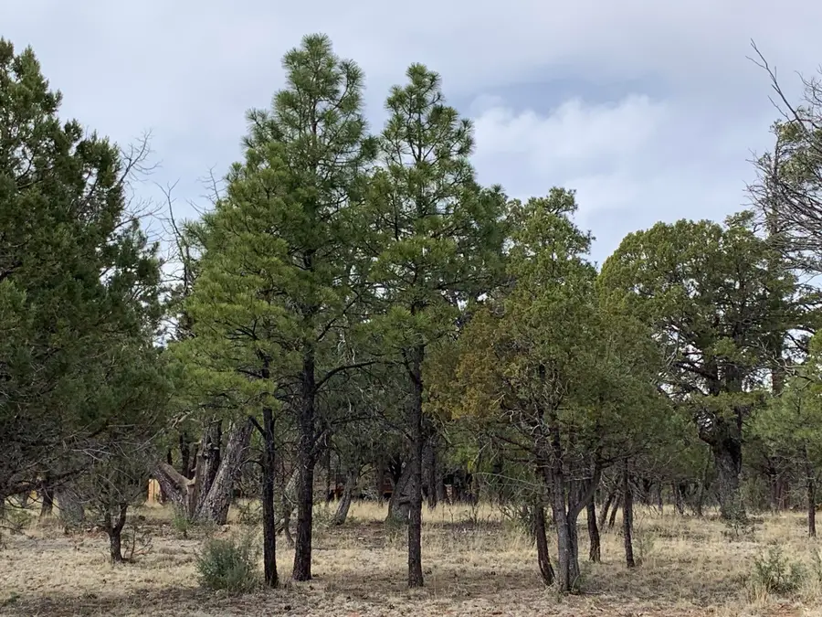 4173 Durango Drive, Happy Jack, AZ 86024 - #2