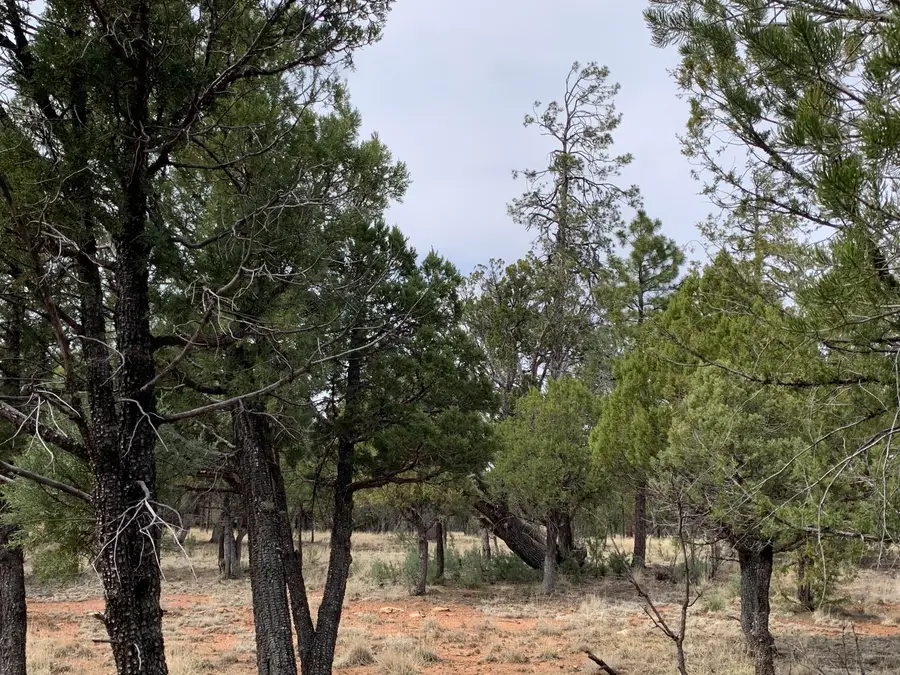 4173 Durango Drive, Happy Jack, AZ 86024 - #3