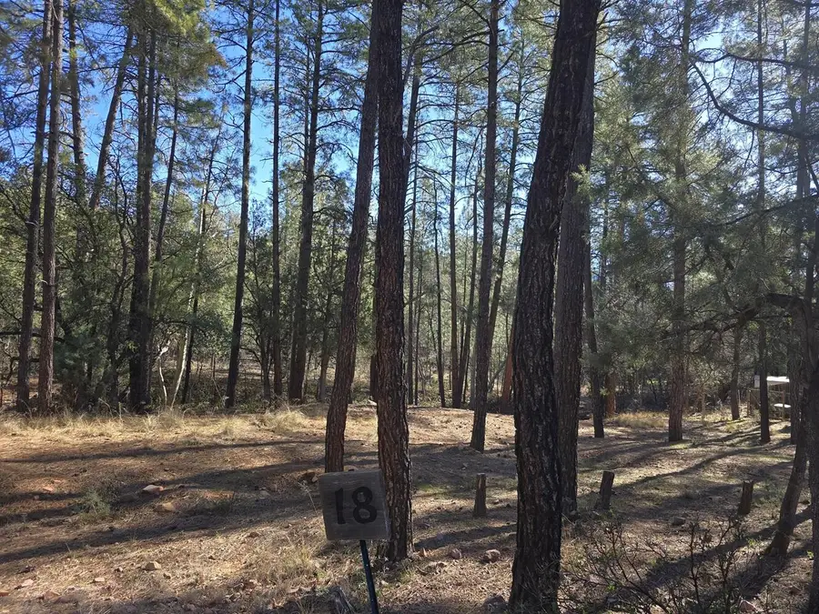 Lot 18 Strawberry Hollow, Pine, AZ 85544 - #2