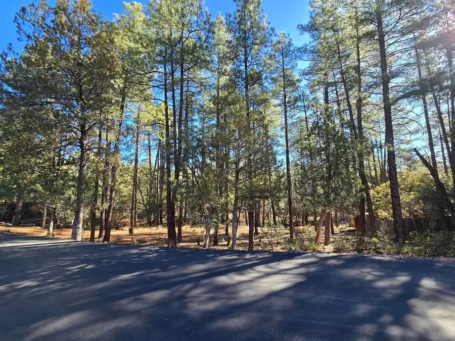 Lot 18 Strawberry Hollow, Pine, AZ 85544 - #3