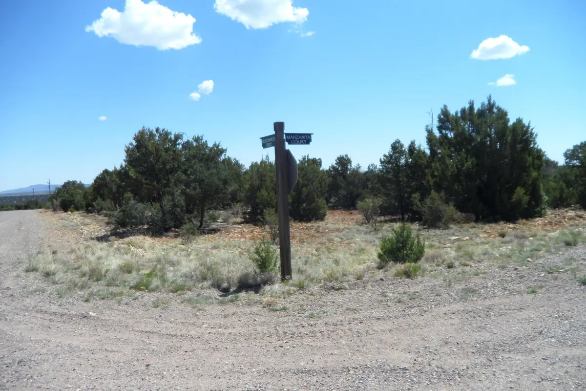 7856 Manzanita Court, Happy Jack, AZ 86024 - #1