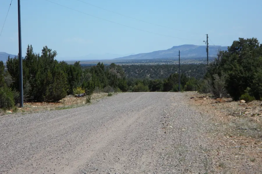 7856 Manzanita Court, Happy Jack, AZ 86024 - #2