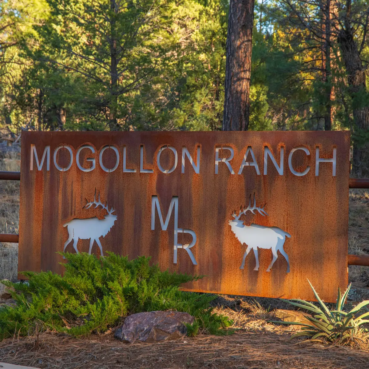 3633 Sunset Ridge Loop, Happy Jack, AZ 86024 - #1