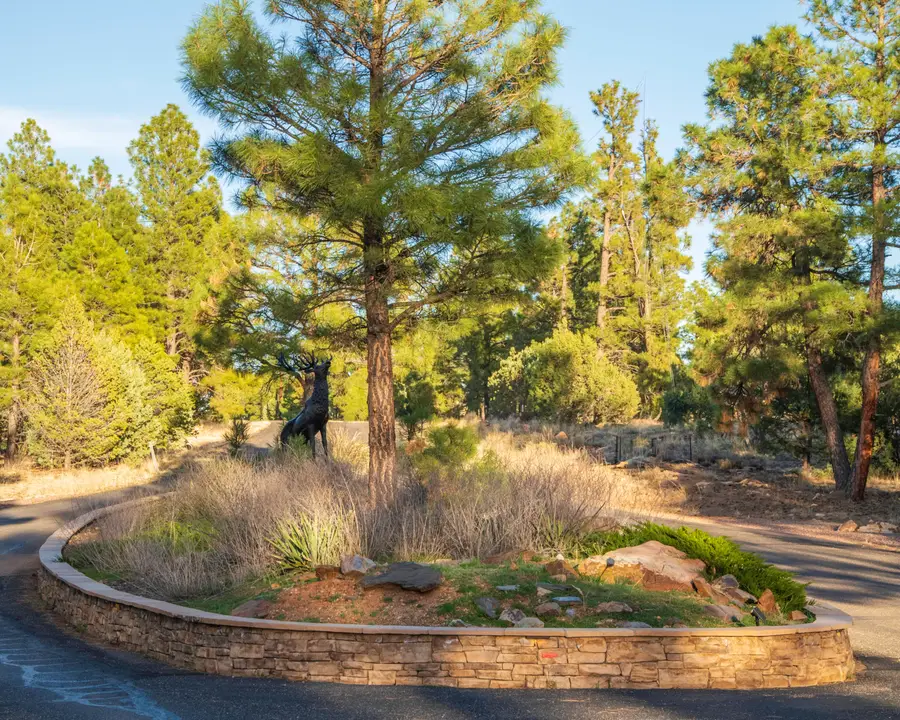 3633 Sunset Ridge Loop, Happy Jack, AZ 86024 - #3