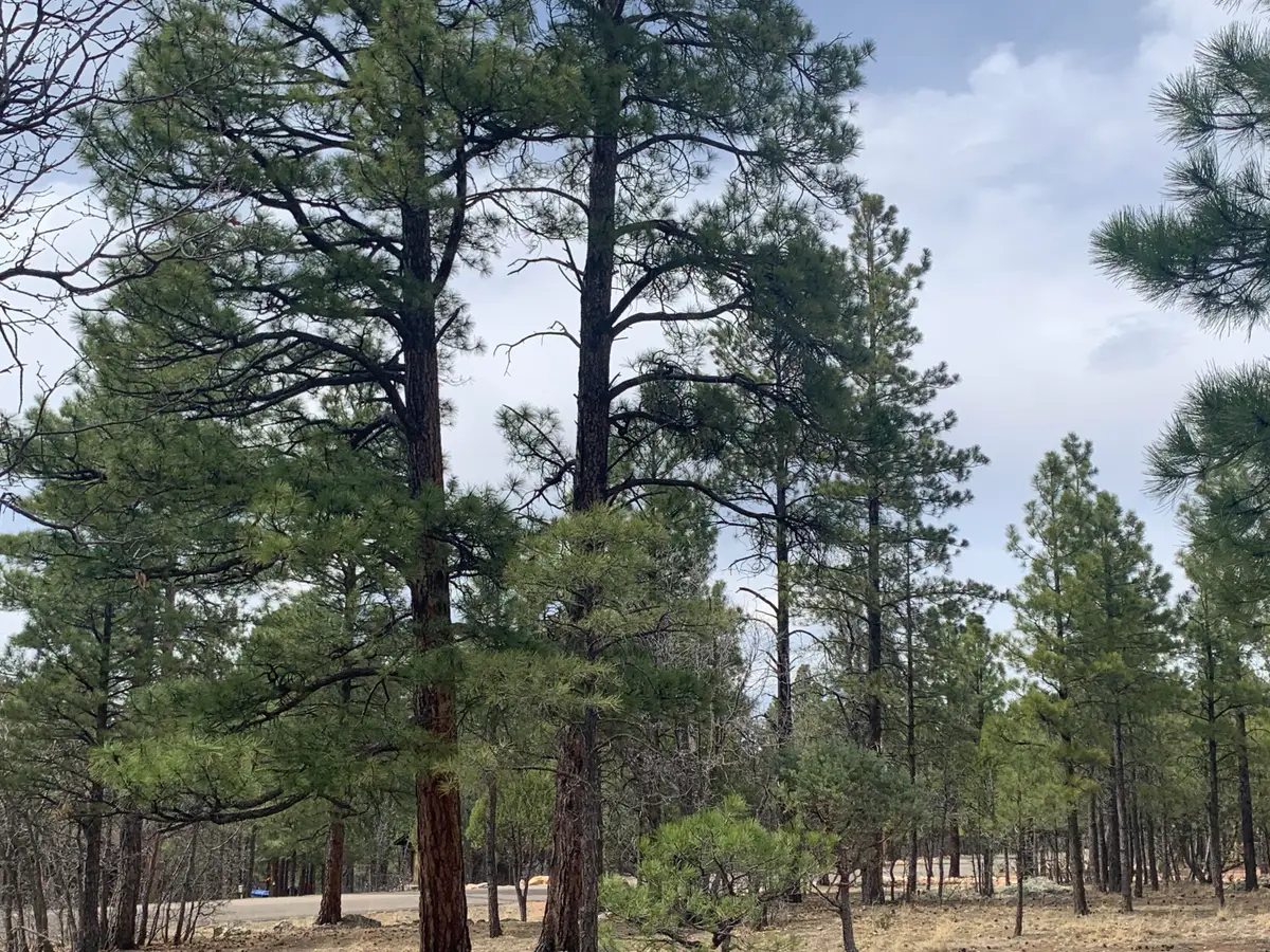 4333 Horseshoe Drive, Happy Jack, AZ 86024 - #1