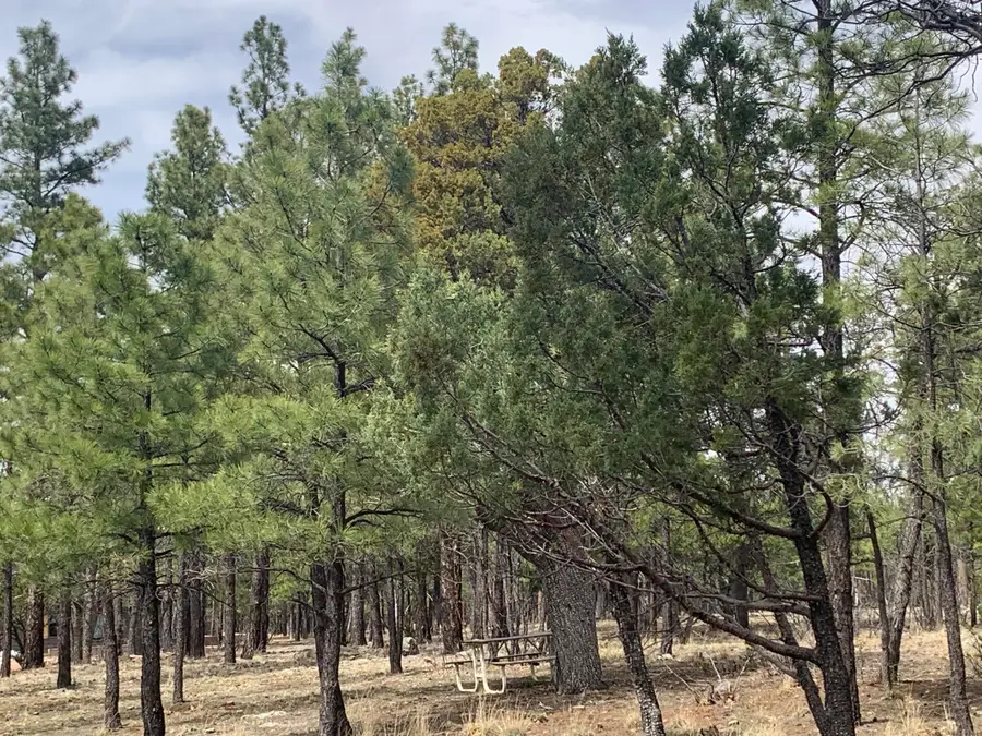 4333 Horseshoe Drive, Happy Jack, AZ 86024 - #3