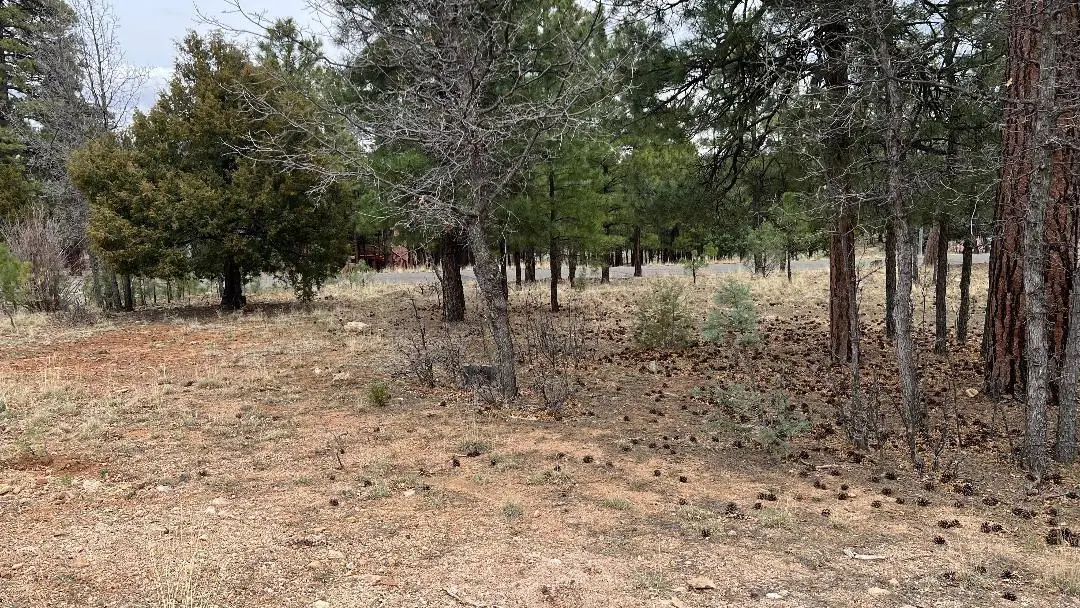 2755 Javalina Circle, Happy Jack, AZ 86024 - #1