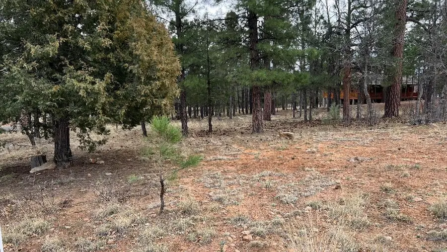 2755 Javalina Circle, Happy Jack, AZ 86024 - #2