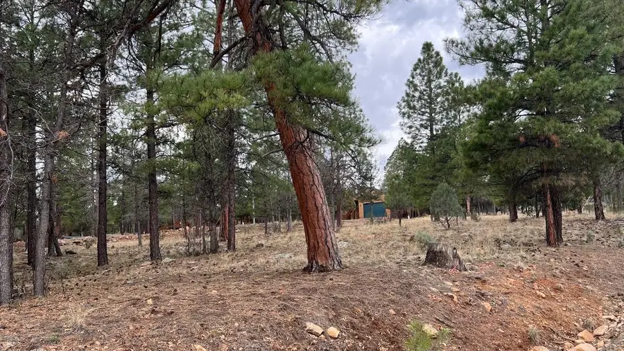 2755 Javalina Circle, Happy Jack, AZ 86024 - #3