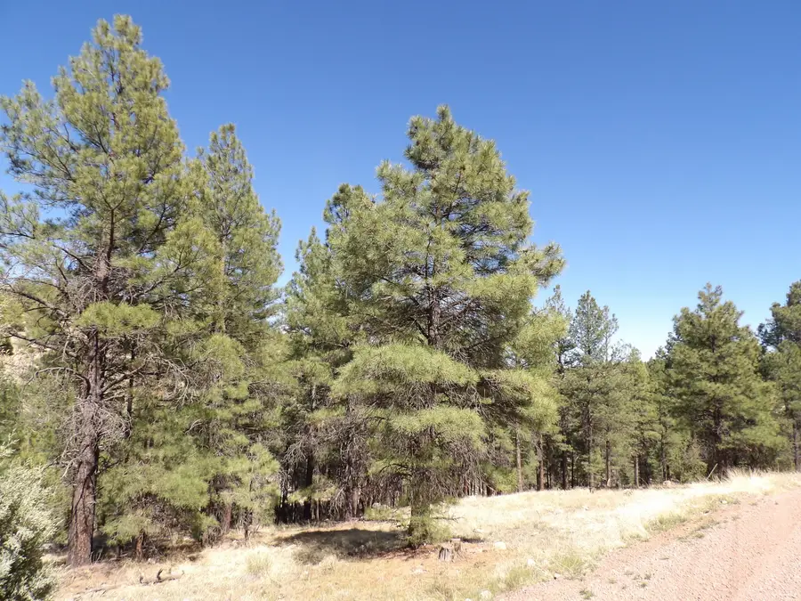 1601 Moqui Drive, Happy Jack, AZ 86024 - #3