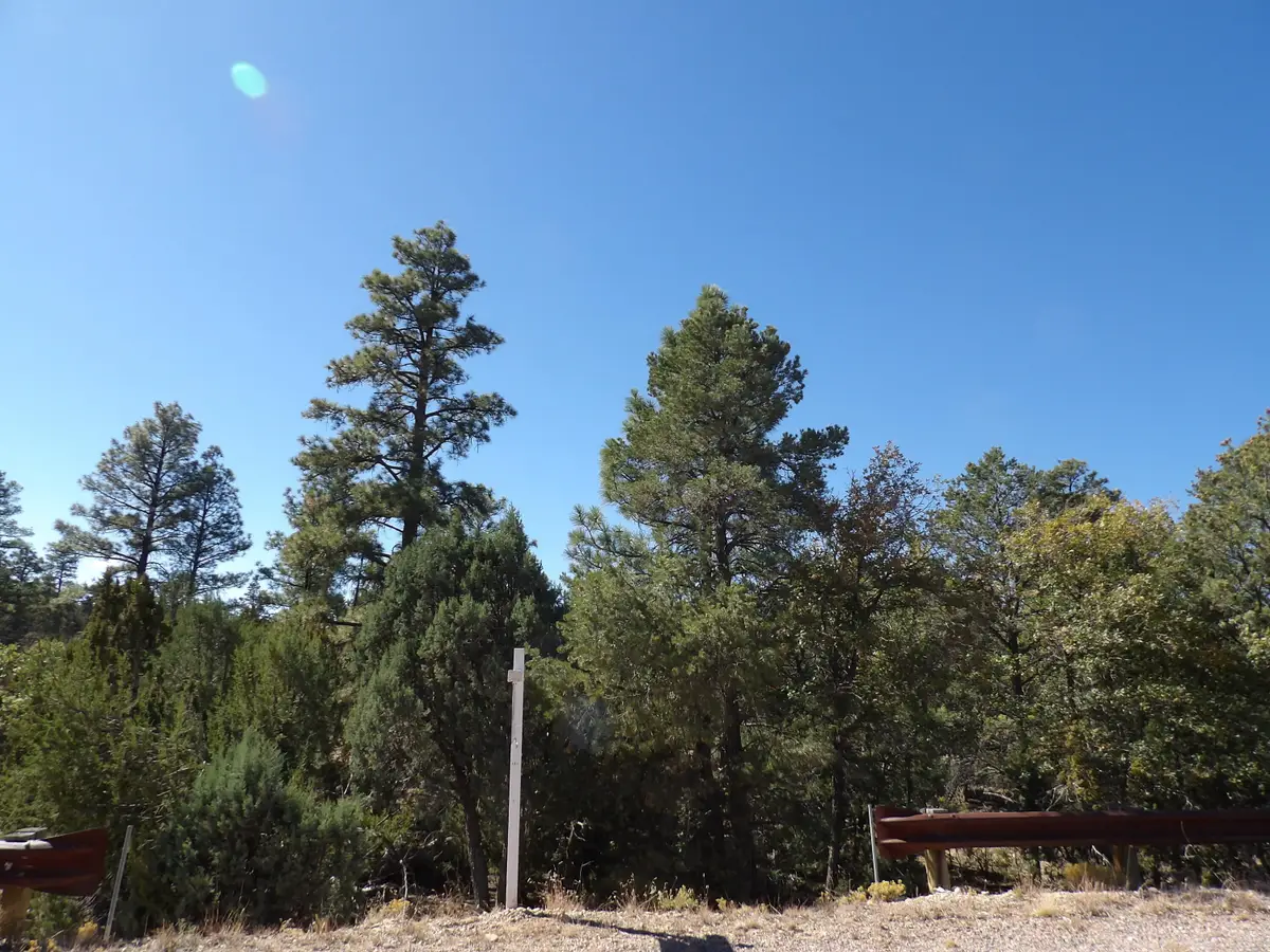 3642 Pinehurst Drive, Happy Jack, AZ 86024 - #1