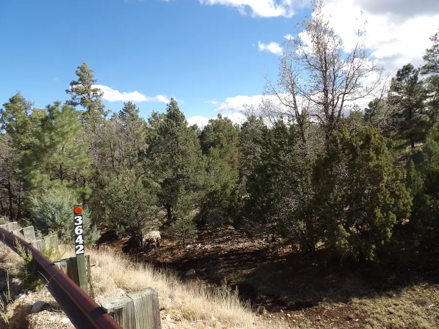 3642 Pinehurst Drive, Happy Jack, AZ 86024 - #2