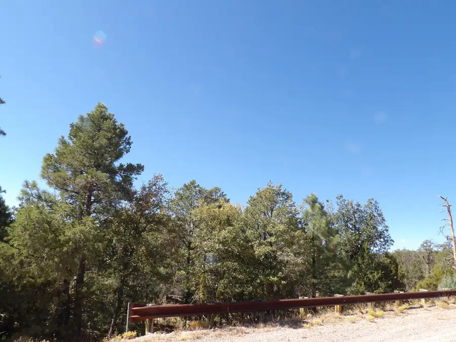 3642 Pinehurst Drive, Happy Jack, AZ 86024 - #3