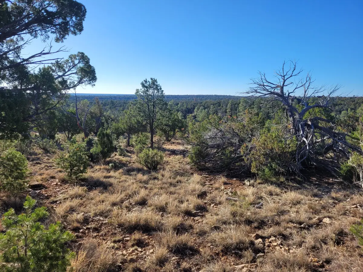 4083 Sunset Ridge Loop, Happy Jack, AZ 86024 - #1