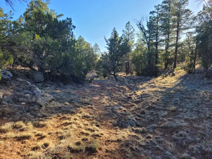 4083 Sunset Ridge Loop, Happy Jack, AZ 86024 - #2