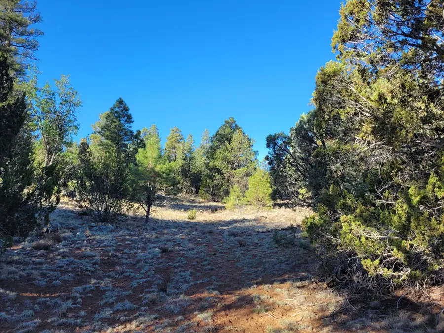 4083 Sunset Ridge Loop, Happy Jack, AZ 86024 - #3